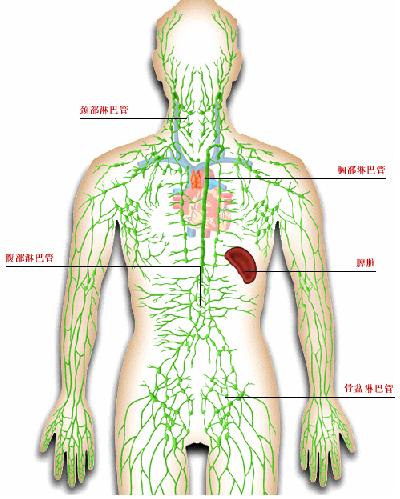 90后演员徐婷去世原因,演员徐婷淋巴癌症状