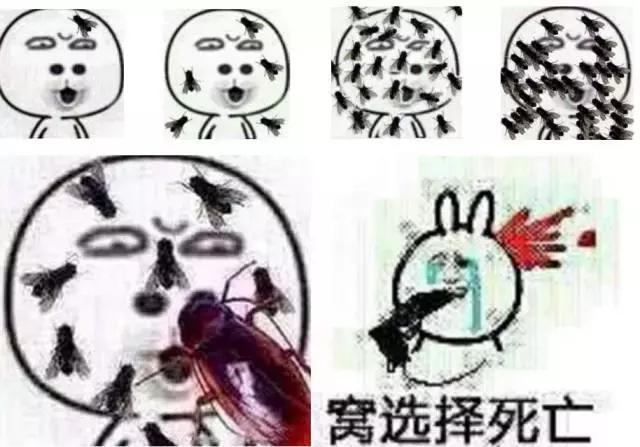 男神设计师走了以后，这间被爆改的纸片屋还能维持多久