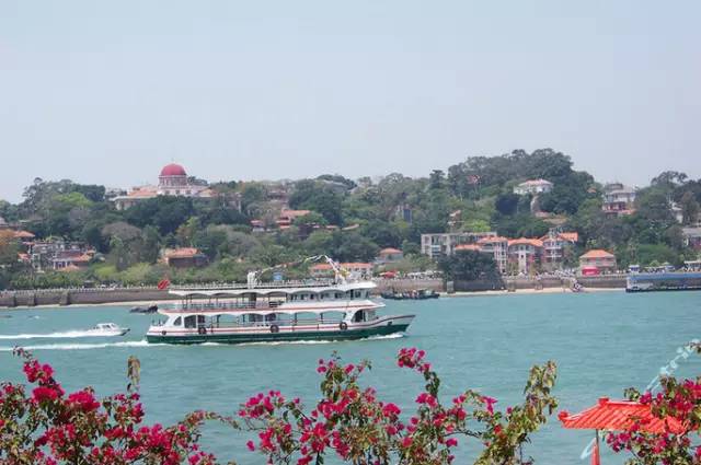 你为什么定居厦门,多少人离开了厦门