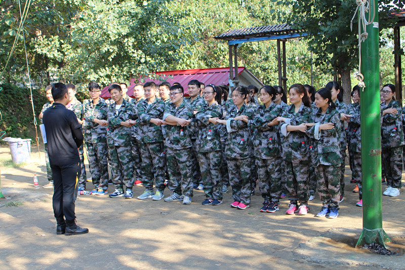 蓝鹰拓展训练营,蓝鸥培训好不好