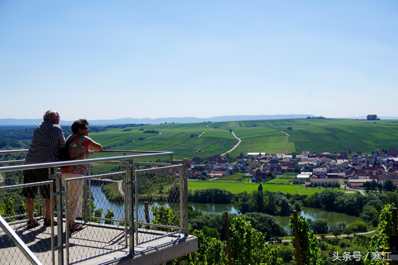 美丽的莱茵河东岸最著名的葡萄酒,法兰肯葡萄酒