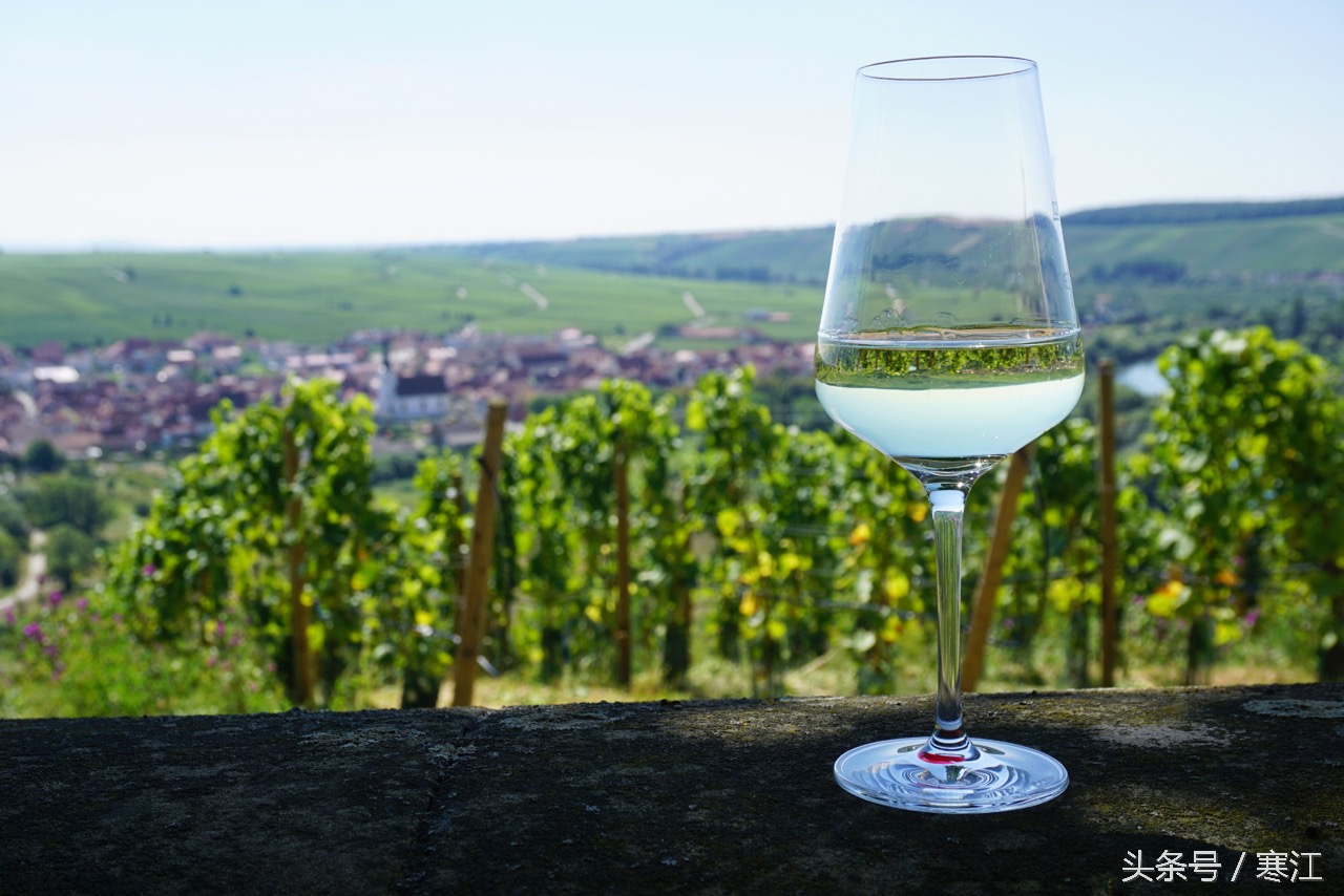 美丽的莱茵河东岸最著名的葡萄酒,法兰肯葡萄酒