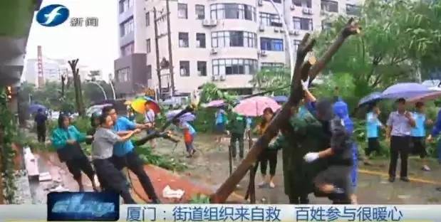 台风马勒卡新消息会登陆福建吗,马勒卡台风什么时候登陆福建