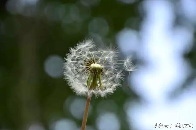 数码单镜头反光相机,单反相机偏光镜选择