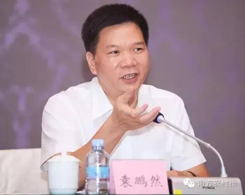 广东县域电商,广东省电商发展好的地方