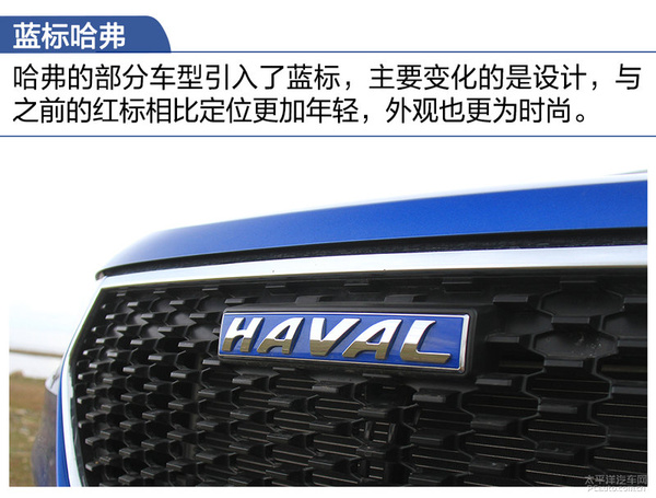 哈弗h2蓝标与红标区别,哈弗h2蓝标测试