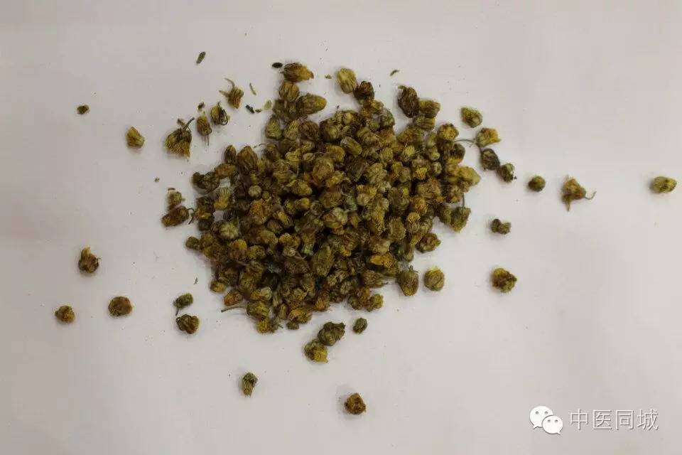 菊花清凉植物茶饮料,中药野生山菊花