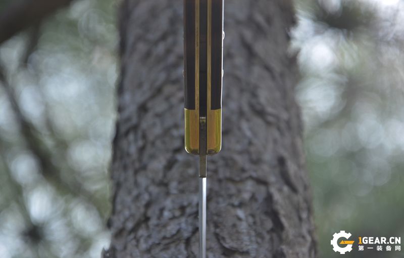 试用报告|简约而不简单：BUCK巴克110*刀军**测评报告