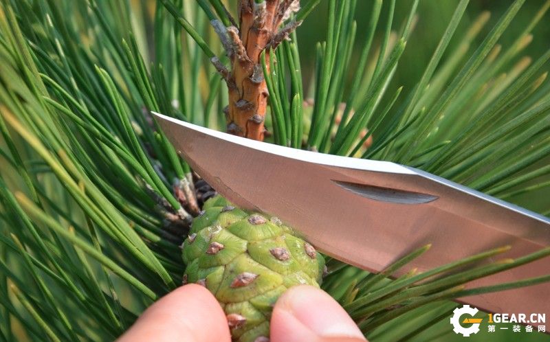 试用报告|简约而不简单：BUCK巴克110*刀军**测评报告