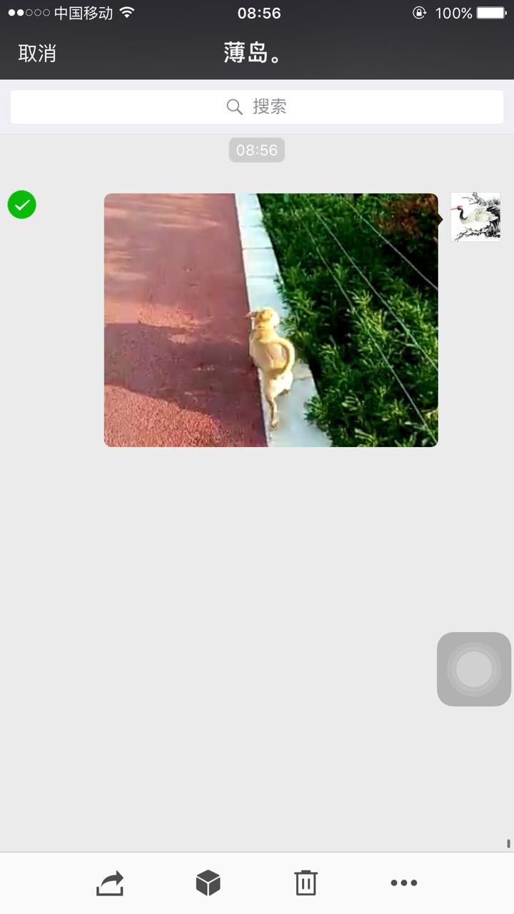 微信朋友圈视频怎么在电脑上保存,微信小视频怎么保存到电脑桌面