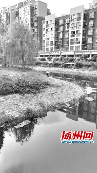 扬州水务投资集团公司董事长,河道治理成功案例