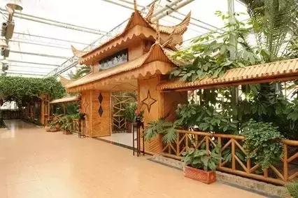 金沙湾黄河坛景区,金沙湾黄河坛景区怎么样