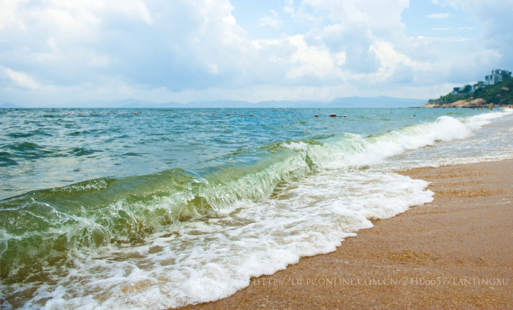 国庆带狗狗适合去哪玩,国庆狗狗出去浪