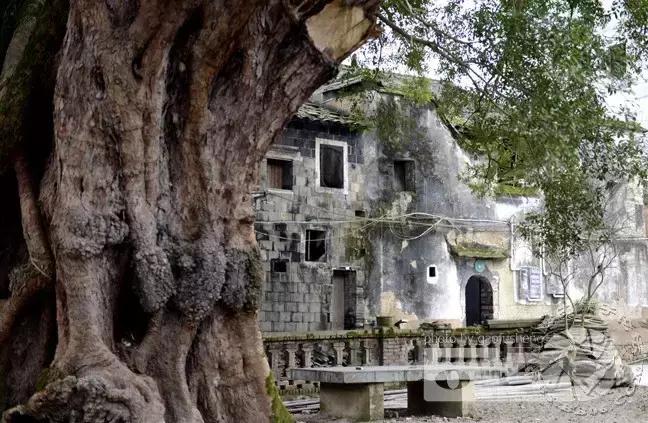 广东惠州到厦门自驾游路线推荐,惠州自驾游十大免费景点推荐