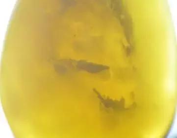 蜜蜡最新造假技术,蜜蜡作假