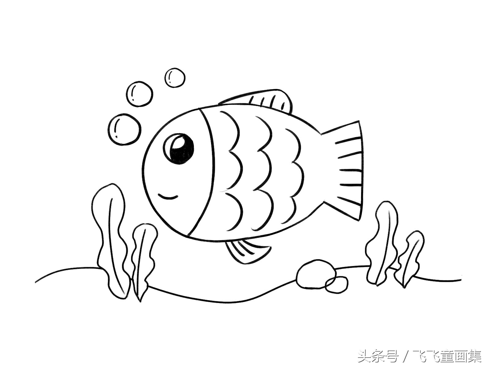 鱼的简笔画又可爱又简单的小鱼,小鱼海洋动物简笔画简单又好看