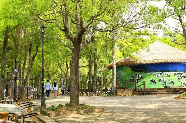 台湾初鹿牧场,台湾初鹿牧场在哪里