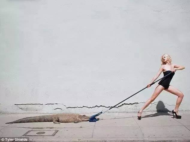 马具起家的奢侈品品牌,靠马具起家的奢侈品