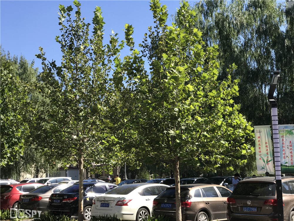 iphone7plus实际测评,iphone7plus深度测试