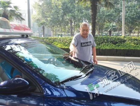 杨长林攀枝花,杨长林