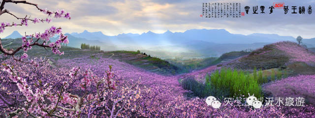 一个外地人眼中的菏泽,一个外地人眼中的文登