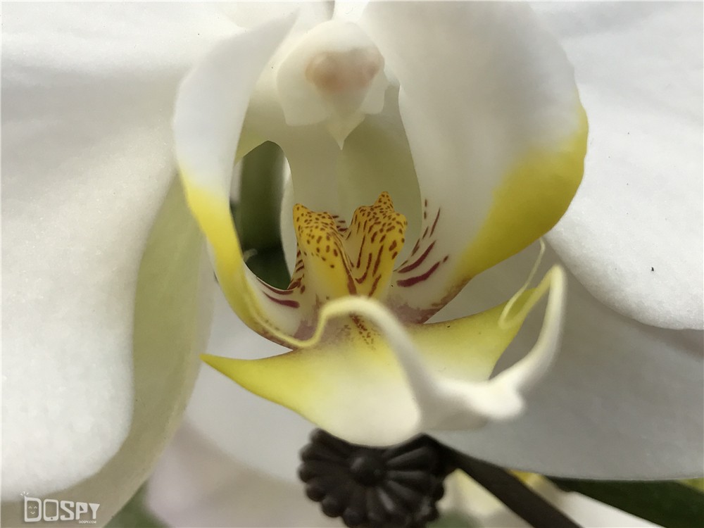 iphone7plus实际测评,iphone7plus深度测试