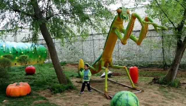 合肥四大新地标,发现惊天大秘密