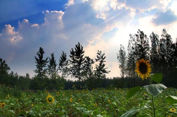 合肥四大新地标,发现惊天大秘密