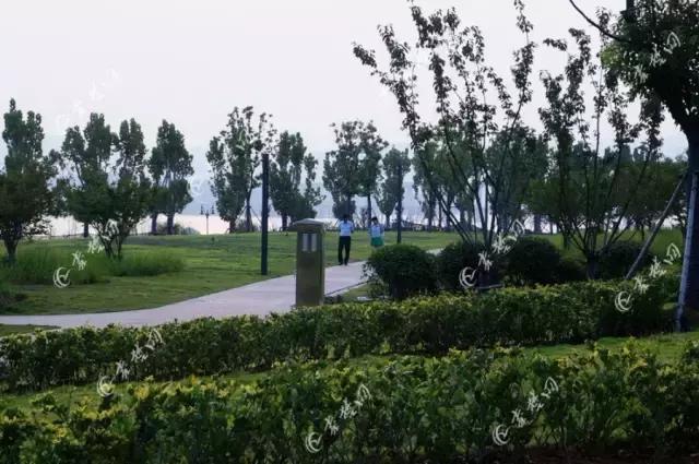 十堰新增公园,十堰国家森林公园图片