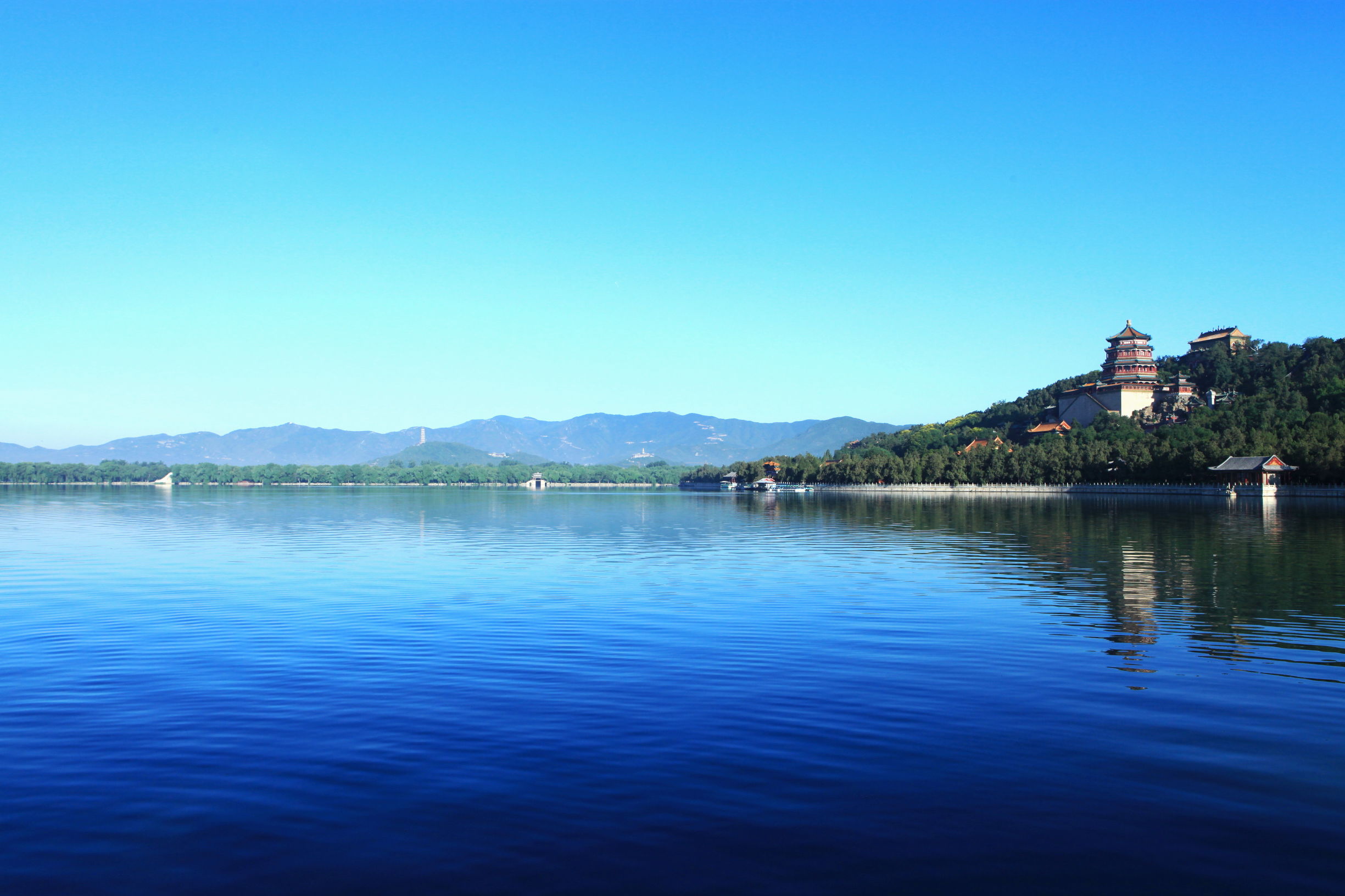 黑龙江网民大呼——还我一个清净的朋友圈！