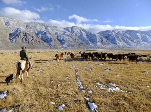 深泉学院的真实面目,留学趣闻