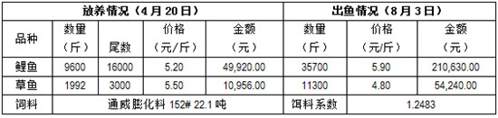 养殖鲤鱼的成本及利润,养殖5000条鲫鱼利润多少