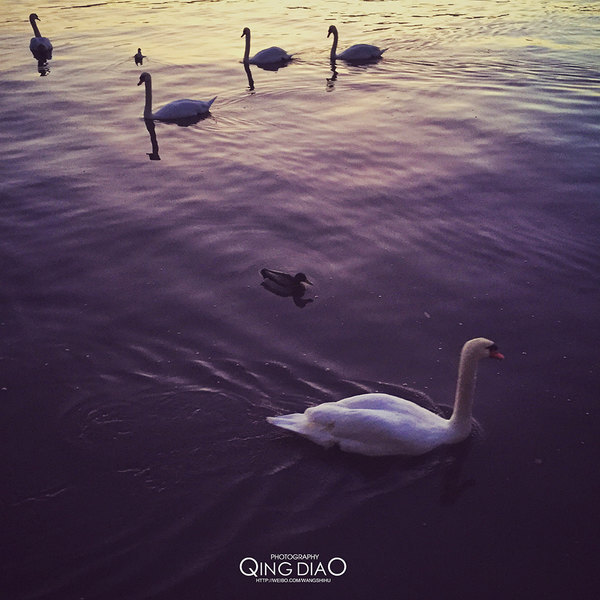 行摄欧洲自驾游,瑞士游记攻略