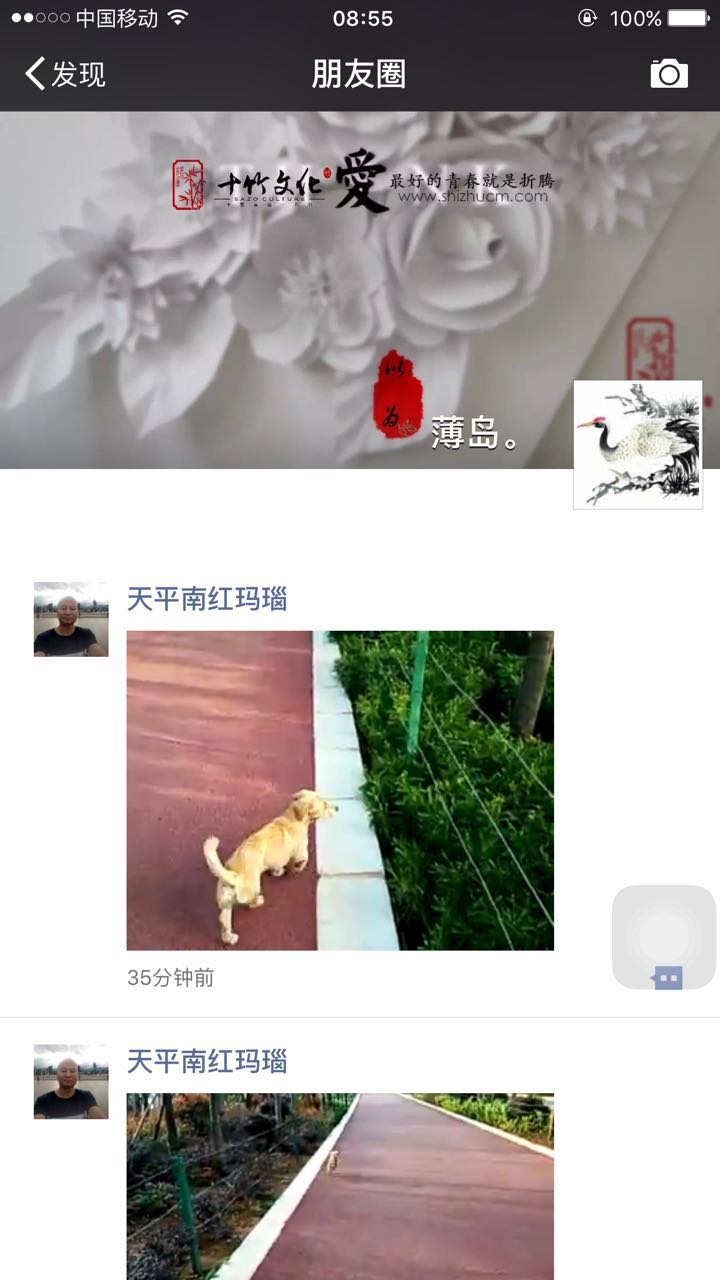 微信朋友圈视频怎么在电脑上保存,微信小视频怎么保存到电脑桌面