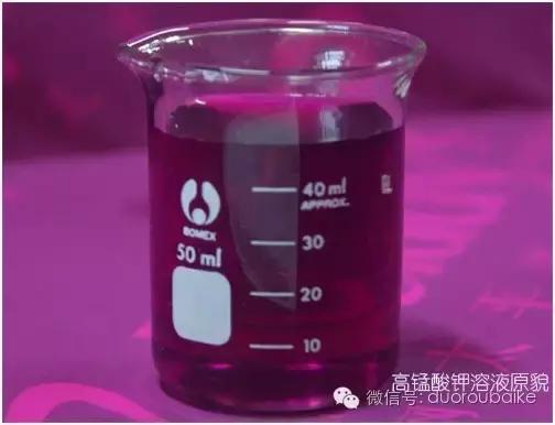 多肉植物可以用高锰酸钾杀菌吗,多肉怎么用高锰酸钾消毒