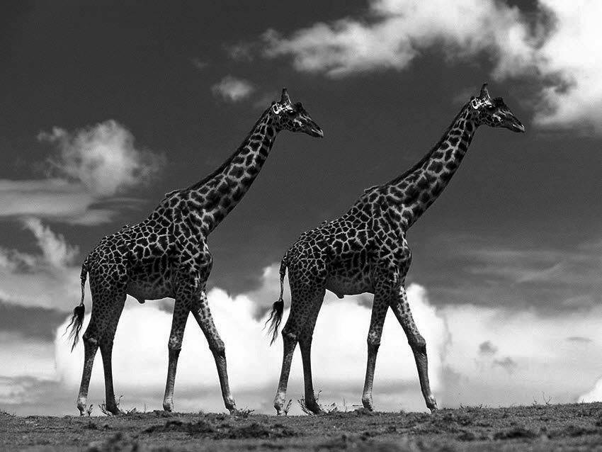 新手如何学ps修图片,5分钟学会的ps技巧