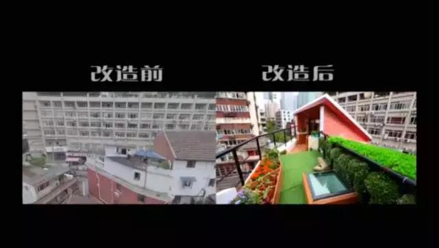 男神设计师走了以后，这间被爆改的纸片屋还能维持多久