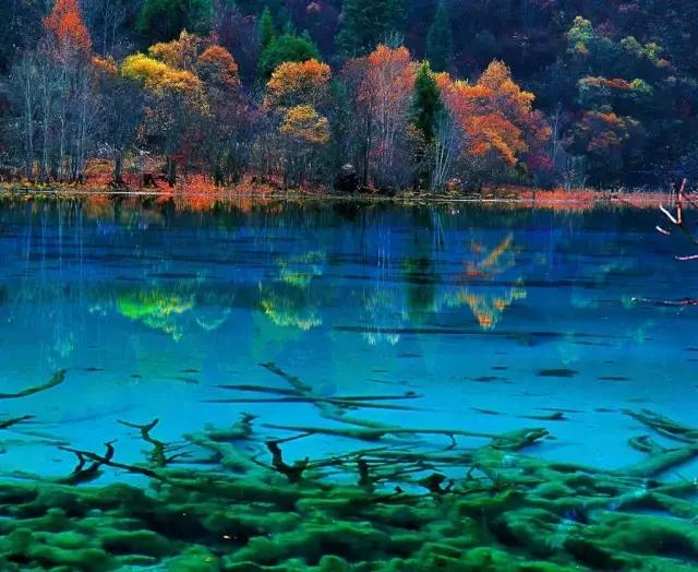 一周去哪里玩,旅游玩3天去哪玩