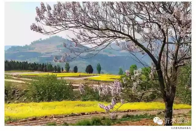 一个外地人眼中的菏泽,一个外地人眼中的文登