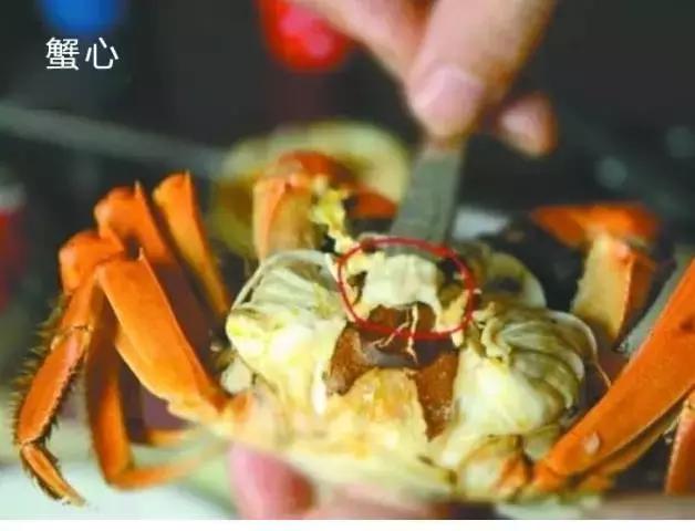 洗螃蟹的正确方法公螃蟹,洗螃蟹刷螃蟹的步骤