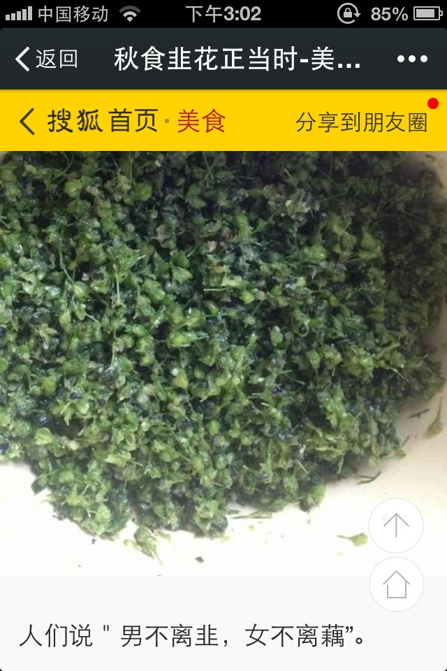 韭菜开的花,韭菜里面的花