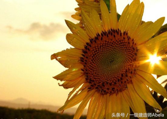 2016年一级建造师难吗,2016年一级建造师