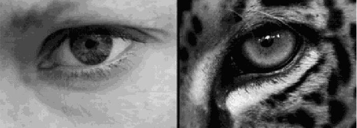 苑苑发型发布会,苑苑时尚发布