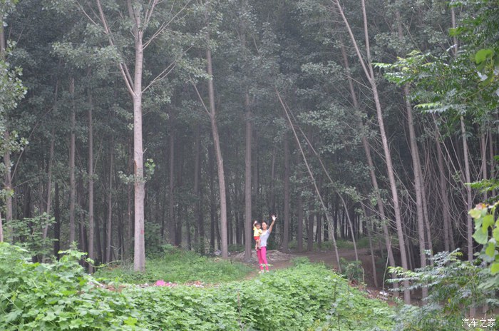 2016款英朗自动精英版,16年别克英朗手动进取型优缺点