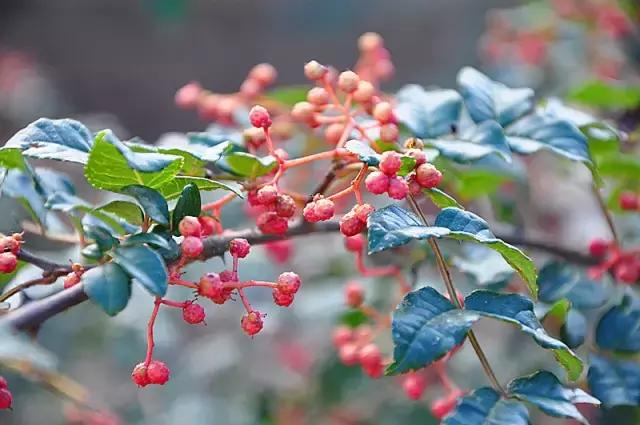 山沟沟里的风景最美,西北山沟沟景区