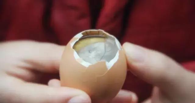 海南十大黑暗料理排行榜,福建的黑暗料理有哪些