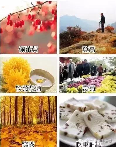 秦皇岛重阳,九九重阳节河北吃什么