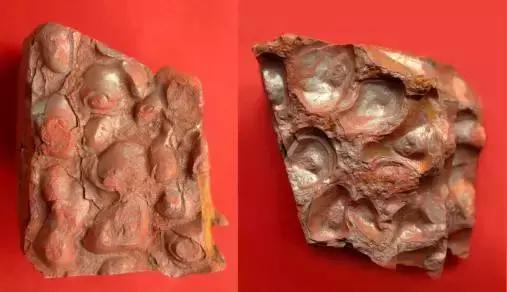 头晕耳鸣刺血疗法,眩晕呕吐耳鸣按什么穴位