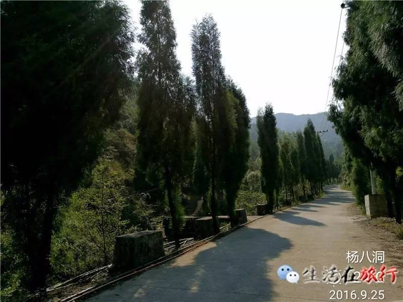 乐清杨八洞风景区,天下第九洞天一日游