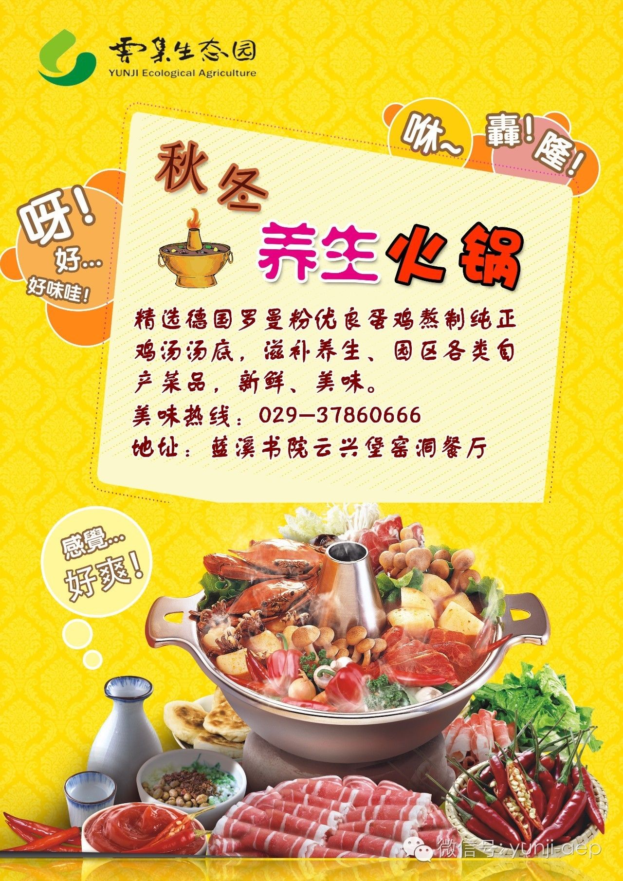 御寒滋补佳品,御寒养生火锅视频